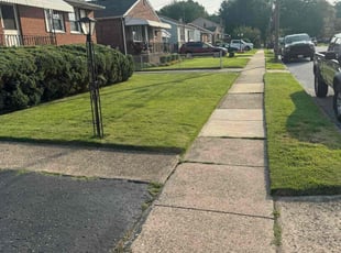 Virginia M.'s grass cutting service result