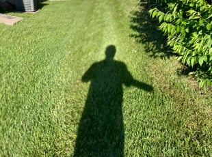 Nakia P.'s grass cutting service result