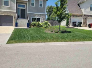 Marta Z.'s lawn care services service result