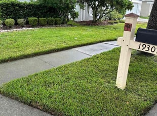 Debbie S.'s turf care service result