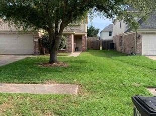 Ben B.'s yard maintenance service result