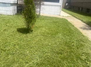 Charlotte G.'s grass maintenance service result