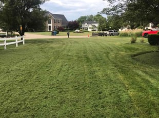 Sarah F.'s lawn service service result
