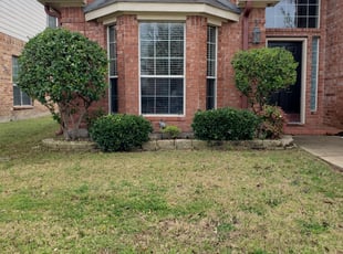 Daryl A.'s Bush Trimming service result