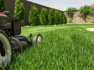 John D.'s grass cutting service result