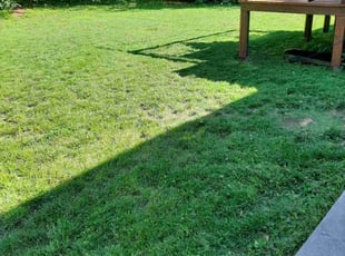 Kim S.'s turf maintenance service result