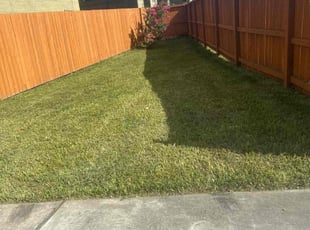 Terry L.'s lawn care service result