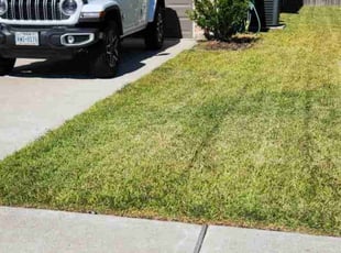 Alejandra R.'s lawn maintenance service result