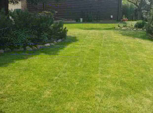 Sarah L.'s turf maintenance service result