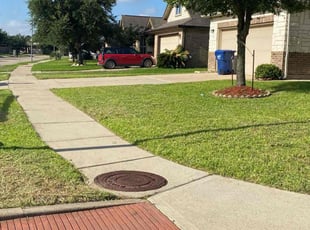 Nick G.'s lawn service service result