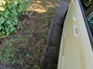 Rebecca W.'s Bush Trimming service result