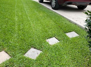 Geofrey S.'s landscaping service result