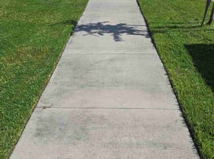 Kaitlyn S.'s grass cutting service result