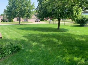 Karilyn H.'s turf maintenance service result