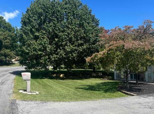 Bessie F.'s turf care service result