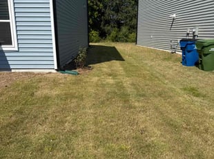 Ted S.'s turf care service result