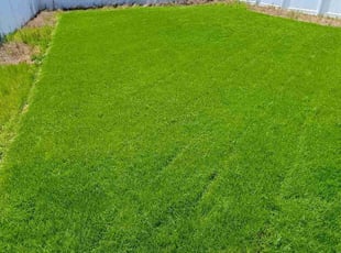 Shiela W.'s lawn maintenance service result