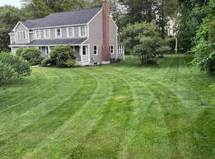 Allison L.'s turf maintenance service result