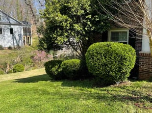 Terry F.'s Bush Trimming service result
