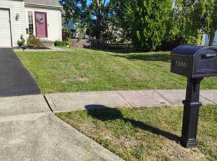 Shannon M.'s turf maintenance service result