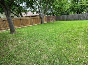Tom H.'s lawn care service result