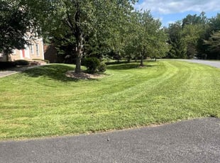Brenda M.'s lawn care service result