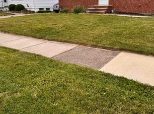 Thomas W.'s grass cutting service result