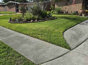 Ed C.'s grass maintenance service result