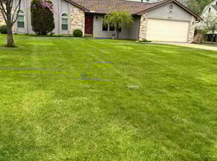 Diane C.'s landscaping services service result