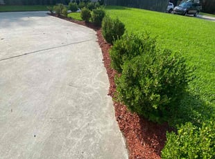 Nicholas J.'s Flower Bed Weeding service result