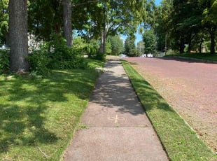 Annie W.'s grass cutting service result