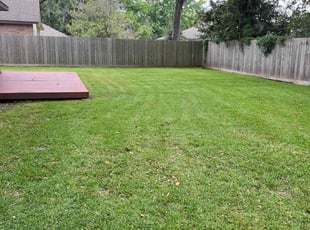 Chandra M.'s grass cutting service result