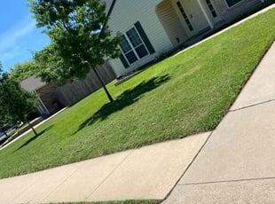Zach M.'s lawn care services service result