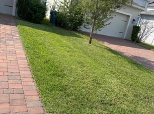 LaShonda R.'s turf maintenance service result