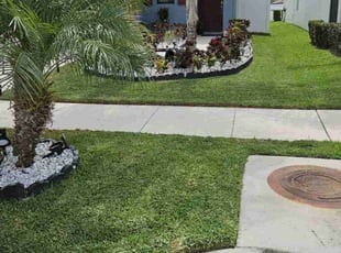 patricia c.'s turf maintenance service result