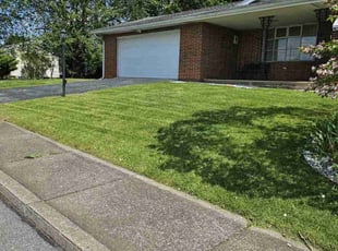 Heustace L.'s grass maintenance service result