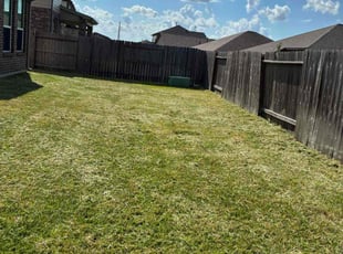 Venkat R.'s turf maintenance service result