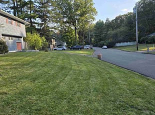 Marcin P.'s lawn care service result