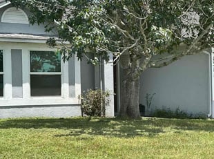 Sheila B.'s Bush Trimming service result