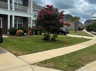 Ryan R.'s grass cutting service result
