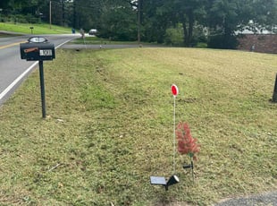 Keena M.'s lawn care service result