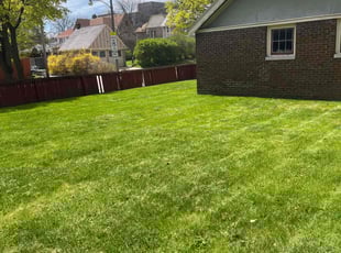 Akif R.'s yard maintenance service result