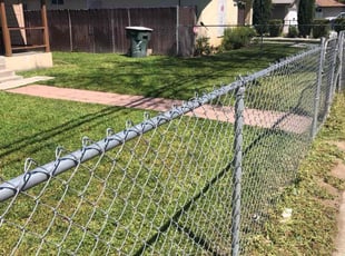 Marina M.'s turf care service result