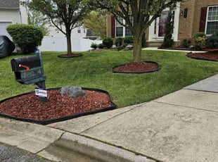 Jackson L.'s lawn care service result