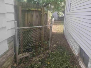 Susan P.'s Tree Trimming service result