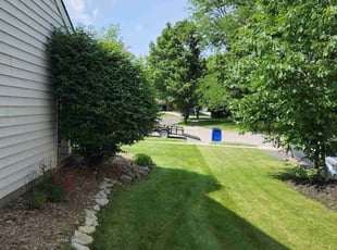 Ajaang D.'s grass cutting service result