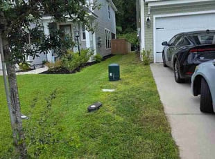 Mariya G.'s grass cutting service result