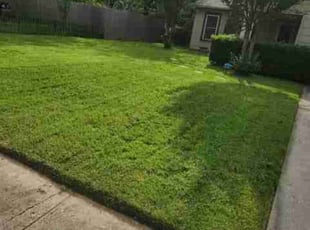 Larry C.'s lawn service service result