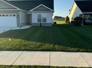 Susan S.'s grass cutting service result