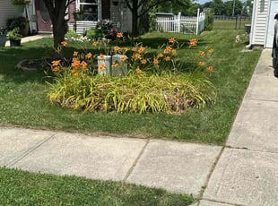 Manuel B.'s grass maintenance service result